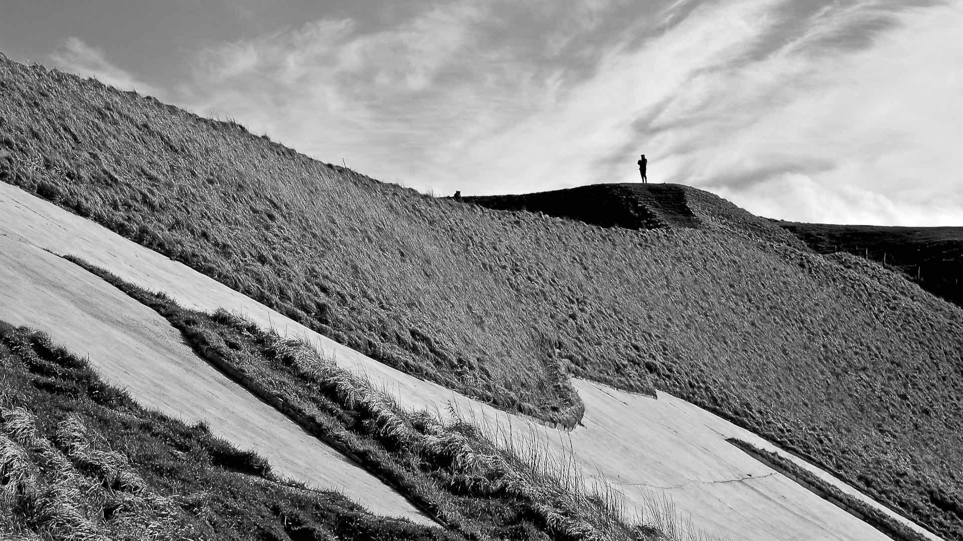 Stallion geoglyph